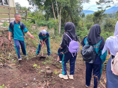 PENGOLAHAN LAHAN PENANAMAN JAGUNG MULOK KETAHANAN PANGAN