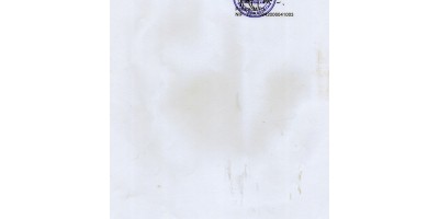 SKL TH 2021